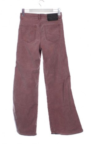 Damen Cordhose Diesel, Größe S, Farbe Rosa, Preis € 49,00