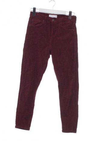 Pantaloni de velvet de femei Topshop, Mărime S, Culoare Roșu, Preț 127,45 Lei
