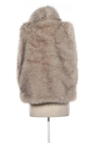 Vestă de femei Fisherfield, Mărime M, Culoare Multicolor, Preț 104,26 Lei