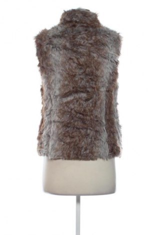 Дамски елек Girl Xpress, Размер M, Цвят Многоцветен, Цена 10,22 €