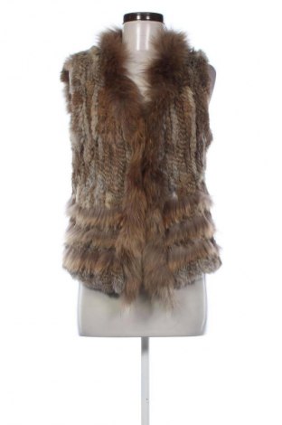 Dámska vesta  Unbranded, Veľkosť S, Farba Viacfarebná, Cena  13,95 €