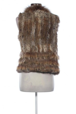 Dámska vesta  Unbranded, Veľkosť S, Farba Viacfarebná, Cena  13,95 €