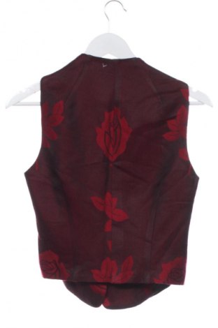 Γυναικείο γιλέκο Unbranded, Μέγεθος S, Χρώμα Πολύχρωμο, Τιμή 20,00 €