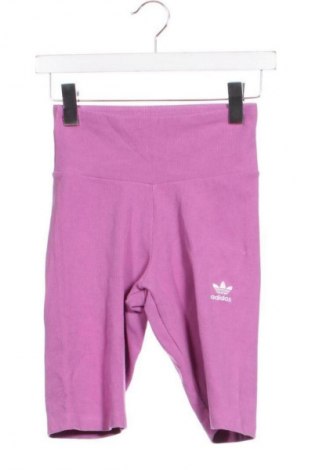 Damen Shorts Adidas Originals, Größe XXS, Farbe Lila, Preis € 14,99