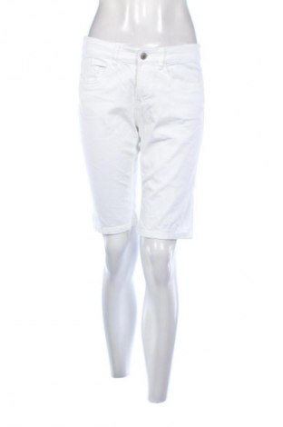 Damen Shorts Charles Vogele, Größe M, Farbe Weiß, Preis € 10,00