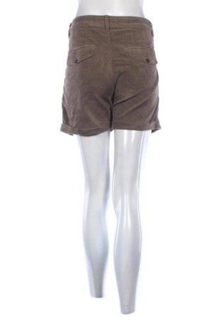 Damen Shorts Closed, Größe L, Farbe Braun, Preis € 43,99