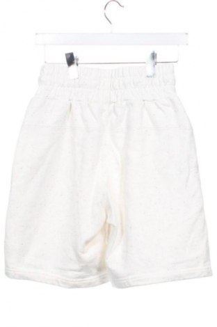 Damen Shorts PUMA, Größe XS, Farbe Mehrfarbig, Preis 17,46 €