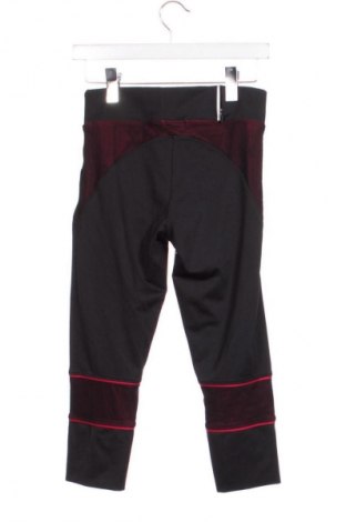 Damen Leggings Oysho, Größe XS, Farbe Mehrfarbig, Preis 17,99 €