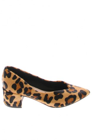 Damenschuhe Next, Größe 36, Farbe Mehrfarbig, Preis € 58,31