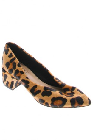 Damenschuhe Next, Größe 36, Farbe Mehrfarbig, Preis € 58,31