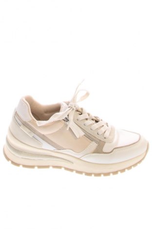 Damenschuhe Tamaris, Größe 37, Farbe Mehrfarbig, Preis € 58,00