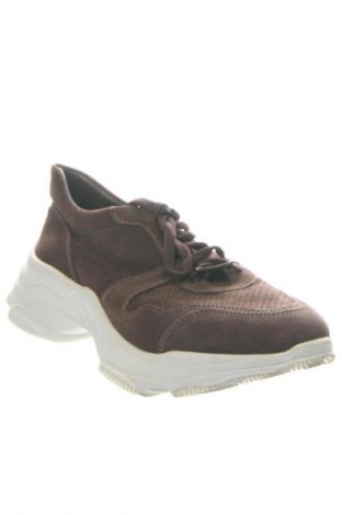 Damenschuhe U.S. Polo Assn., Größe 40, Farbe Braun, Preis € 84,00