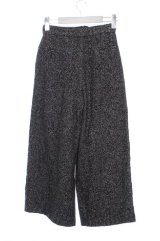 Damenhose Massimo Dutti, Größe XXS, Farbe Mehrfarbig, Preis € 32,00