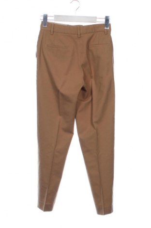 Damenhose Massimo Dutti, Größe XXS, Farbe Orange, Preis € 32,00