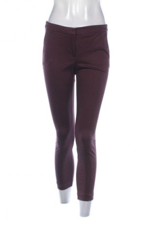 Damskie spodnie Orsay, Rozmiar S, Kolor Kolorowy, Cena 80,38 zł