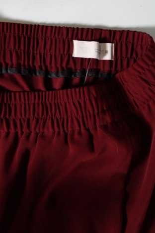Damenhose Zara, Größe M, Farbe Rot, Preis € 12,99