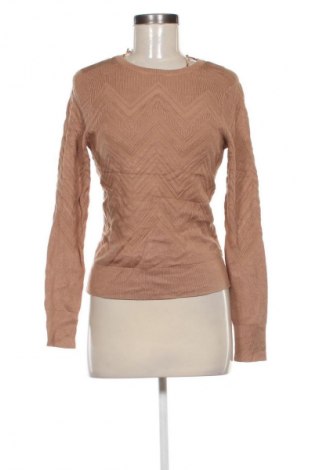 Damenpullover Portmans, Größe S, Farbe Braun, Preis € 28,99