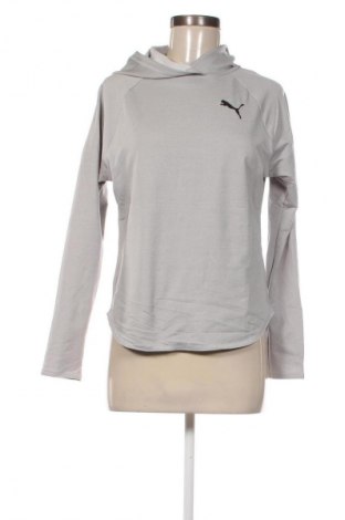Damen Sweatshirt PUMA, Größe XS, Farbe Grau, Preis 20,99 €