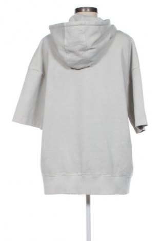 Damen Sweatshirt Zara, Größe L, Farbe Grau, Preis € 11,99