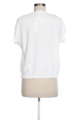 Damentop Unbranded, Größe L, Farbe Mehrfarbig, Preis € 13,99