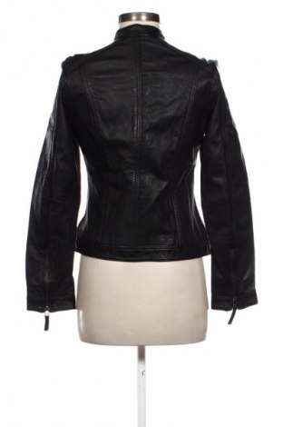 Γυναικείο δερμάτινο μπουφάν Bruno Banani, Μέγεθος M, Χρώμα Μαύρο, Τιμή 151,00 €