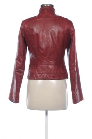 Dámská kožená bunda  Campus, Velikost S, Barva Červená, Cena  1 408,00 Kč