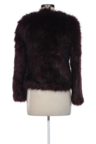 Γυναικείο παλτό H&M Divided, Μέγεθος XS, Χρώμα Καφέ, Τιμή 26,99 €