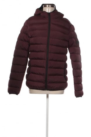 Kurtka damska French Connection, Rozmiar S, Kolor Czerwony, Cena 714,99 zł