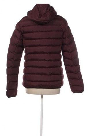 Kurtka damska French Connection, Rozmiar S, Kolor Czerwony, Cena 714,99 zł