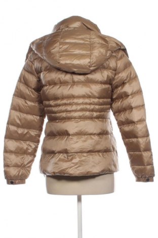 Damenjacke Massimo Dutti, Größe L, Farbe Braun, Preis € 122,89