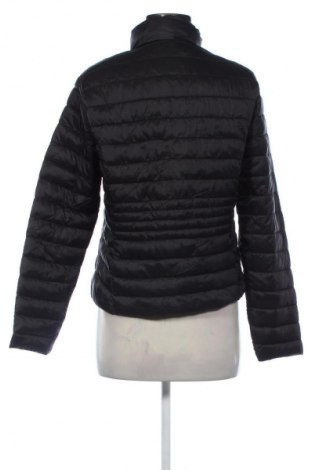 Damenjacke Primark, Größe M, Farbe Schwarz, Preis 14,99 €