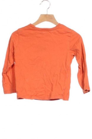 Dětská halenka  H&M, Velikost 18-24m/ 86-98 cm, Barva Vícebarevné, Cena  170,00 Kč