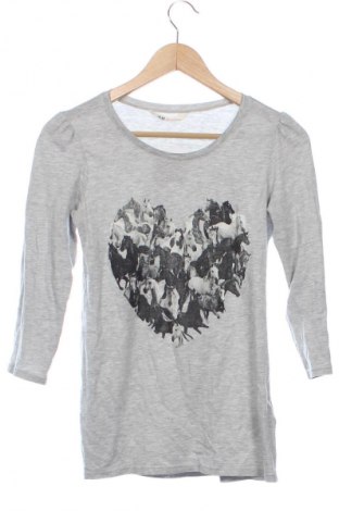 Detská blúzka  H&M, Veľkosť 14-15y/ 168-170 cm, Farba Sivá, Cena  5,61 €