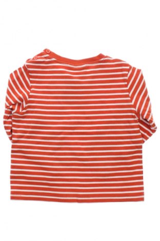 Dziecięca bluzka Jojo Maman Bebe, Rozmiar 4-5y/ 110-116 cm, Kolor Kolorowy, Cena 137,99 zł