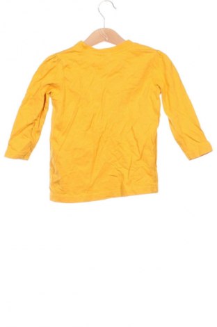 Dětská halenka  Unbranded, Velikost 18-24m/ 86-98 cm, Barva Vícebarevné, Cena  119,00 Kč