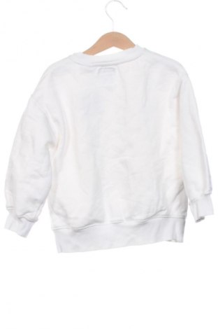 Kinder Shirt Zara, Größe 5-6y/ 116-122 cm, Farbe Mehrfarbig, Preis 7,99 €
