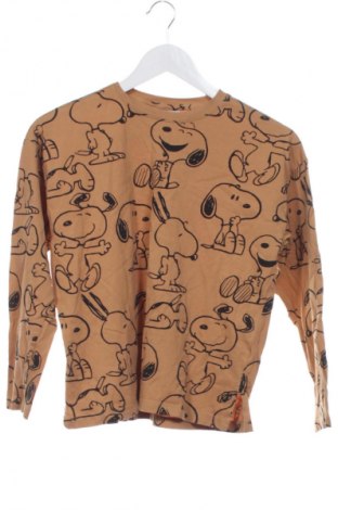 Dětská halenka  Zara, Velikost 12-13y/ 158-164 cm, Barva Hnědá, Cena  198,00 Kč