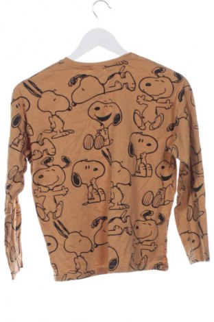 Dětská halenka  Zara, Velikost 12-13y/ 158-164 cm, Barva Hnědá, Cena  198,00 Kč