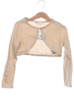 Dětský kardigán H&M, Velikost 4-5y/ 110-116 cm, Barva Béžová, Cena  245,00 Kč