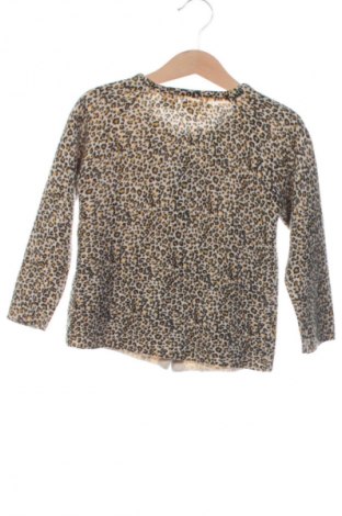 Pulover cu nasturi pentru copii Zara, Mărime 3-4y/ 104-110 cm, Culoare Multicolor, Preț 41,71 Lei