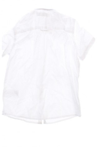 Dziecięca koszula Ted Baker, Rozmiar 2-3y/ 98-104 cm, Kolor Biały, Cena 258,99 zł