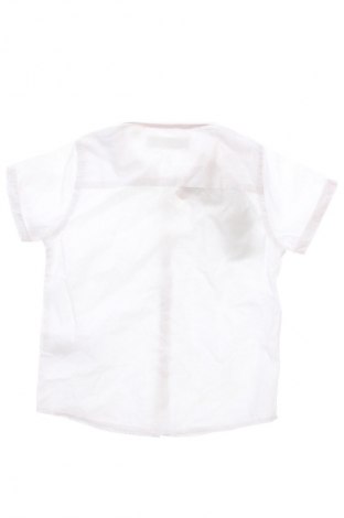 Παιδικό πουκάμισο Ted Baker, Μέγεθος 18-24m/ 86-98 εκ., Χρώμα Λευκό, Τιμή 58,99 €