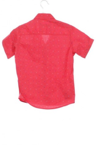 Gyerek ing Unbranded, Méret 5-6y / 116-122 cm, Szín Sokszínű, Ár 2 479 Ft