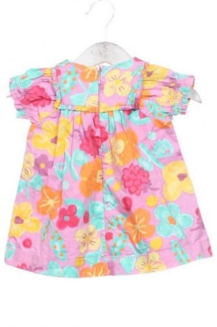 Dziecięca sukienka Coccodrillo, Rozmiar 2-3m/ 56-62 cm, Kolor Kolorowy, Cena 101,81 zł