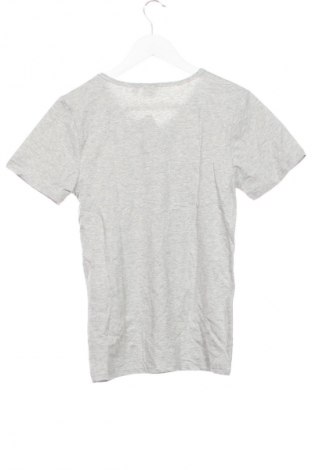 Детска тениска Alive, Размер 15-18y/ 170-176 см, Цвят Сив, Цена 5,62 €