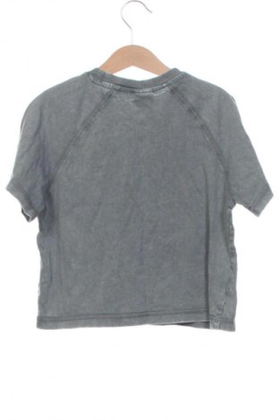 Detské tričko Zara, Veľkosť 5-6y/ 116-122 cm, Farba Viacfarebná, Cena  5,75 €