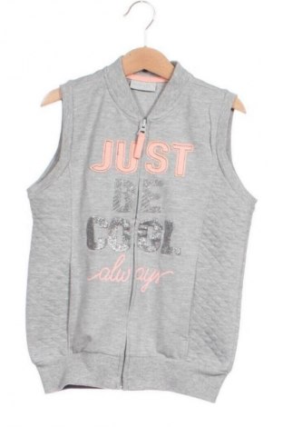 Vestă pentru copii LC Waikiki, Mărime 6-7y/ 122-128 cm, Culoare Gri, Preț 56,43 Lei
