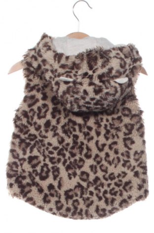 Παιδικό γιλέκο Next, Μέγεθος 12-18m/ 80-86 εκ., Χρώμα Πολύχρωμο, Τιμή 10,00 €