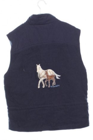 Vestă pentru copii TCM, Mărime 10-11y/ 146-152 cm, Culoare Albastru, Preț 34,99 Lei
