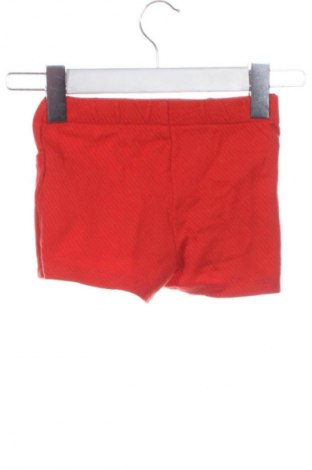 Dětské krátké kalhoty  LC Waikiki, Velikost 9-12m/ 74-80 cm, Barva Červená, Cena  201,00 Kč
